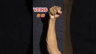 21Day Forearm Transformation  Unveiling the Secret Behind Hand Gripper [upl. by Teahan]