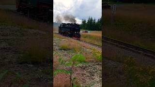 Überführung 99 7243 nach Wernigerode Brockenbahn HSB Harzquerbahn [upl. by Lenz]