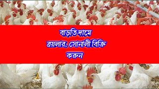 ৭ এপ্রিল🐓 আজকে সকল মুরগি বাড়তি দামে বিক্রি করুন ❤️ব্রয়লার লেয়ার সোনালী ফাউমি মুরগির বাচ্চার দাম জানো [upl. by Salter]