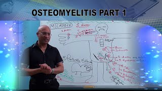 Osteomyelitis  Causes amp Symptoms  Bone Infection🩺 [upl. by Eilhsa975]