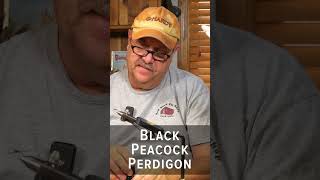 Fly tying but fastest Dave Bloom Black peacock perdigon Missouri River trout [upl. by Chevalier]