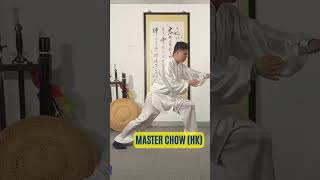 Improve Your Posture Chen Style Tai Chis Moving and Standing Meditation [upl. by Meekyh]