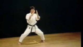 Shotokan Kata Meikyo  Kanazawa Hirokazu [upl. by Hatty336]