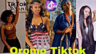 Sirba afaan oromoo haaraa 2023 Oromo music  Oromotiktok [upl. by Nehpets397]