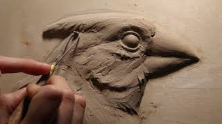 Kellie Pereira  Cardinal Portrait Bas Relief Sculpture Process  Instructional Video [upl. by Leasa]