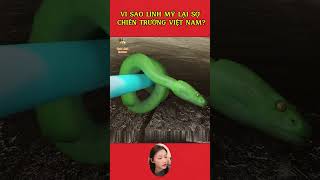 Lí do Mỹ thất bại tại chiến trường Việt Nam shotsvideo giảitrí tintuc chiếntranh hoakỳ khampha [upl. by Anahsal]