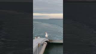 Irish Ferry Moments On Board ferry [upl. by Lleira]