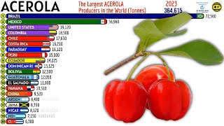 The Largest ACEROLA Producers in the World [upl. by Kciredes]