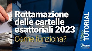 Rottamazione delle cartelle esattoriali  VIDEO TUTORIAL [upl. by Vinni]