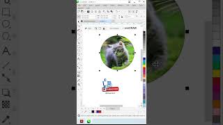 How to Use Power Clip Inside in Corel Draw shorts [upl. by Airebma688]