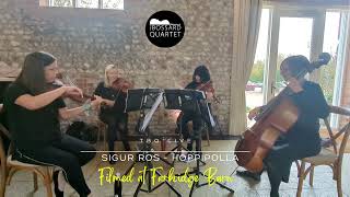 String Quartet cover of Sigur Ros Hoppipolla BBC Planet Earth theme [upl. by Faith]