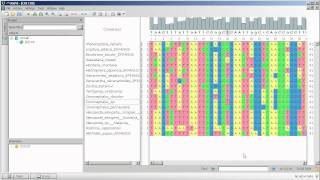 Unipro UGENE podcast 3 Working with multiple sequence alignment the basics [upl. by Peednam]