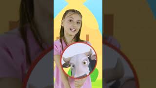 La Vaca Tiene 🐮 Canción Estreno 🌈 Canciones infantiles shorts cancionesinfantiles [upl. by Mariandi236]