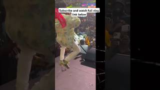 Likkle addi ER interview emulate Vybz kartel performance [upl. by Nazario972]