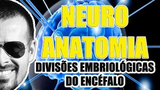 Divisões embriológicas do Encéfalo Sistema Nervoso Central  Neuroanatomia  VideoAula 070 [upl. by Annaya]