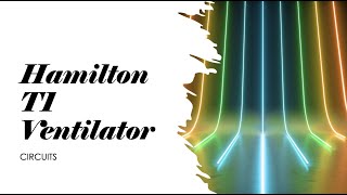 Hamilton T1 Ventilator  2 Circuits explained [upl. by Raval]