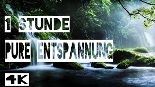 4K Wasserfall Geräusche Ruhige Natur  Tiefenentspannung Spa Ohne Musik White Noise  ASMR [upl. by Dressel]