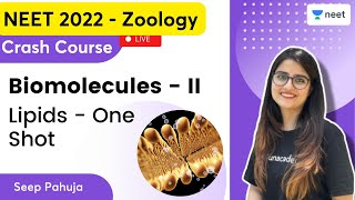 Biomolecules II  Lipids  One Shot  Seep Pahuja  Unacademy NEET  NEET 20222023 [upl. by Nylegna]