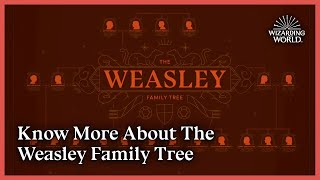 The Weasley Family Tree  Wizarding World [upl. by Busch]