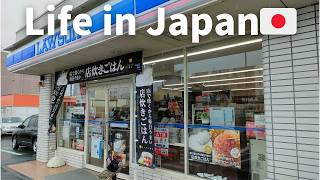 Vlog Daily life in Japan 🇯🇵 Grocery shopping at convenience stores LAWSON [upl. by Gauthier36]