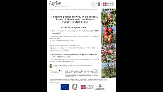 Pesche tardive mele precoci forme di allevamento multiasse Guyot e Glomerella  29082024 [upl. by Ahouh]