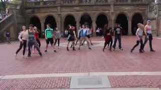 Flash Mob Proposal  Central Park [upl. by Nirre]