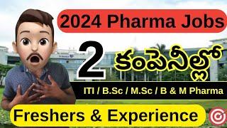 Latest Pharma Company Jobs vacancy for freshers 2024 Hyderabad  Success Drive Telugu  All Jobs [upl. by Gerrard408]