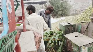 silage machine making silage on Mughal cattle farm [upl. by Terbecki431]