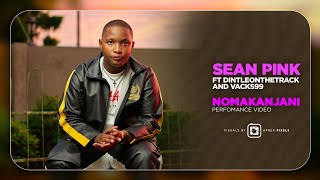 Sean Pink  Nomakanjani ft Dintleonthetrack And Vacks99 Performance Video [upl. by Schilit944]