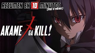 🔷 Akame Ga Kill  Resumen en 10 Minutos más o menos [upl. by Aciras385]