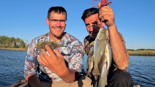 New Species LADYFISH PIGFISH CROAKER Catch Clean Cook [upl. by Derby542]