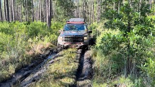 Cary State Forest Off Road [upl. by Mungo]