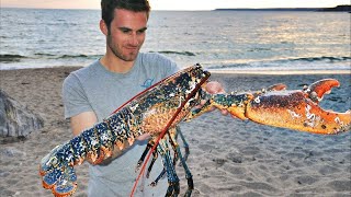 Catching GIANT LOBSTERS by hand and Wild Beach Cooking [upl. by Greene]