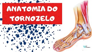 ANATOMIA DO TORNOZELO  osteologia ligamentos e articulações  FISIO EM MOVIMENTO [upl. by Aneeb]