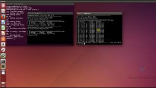 TCP and UDP throughput graph in Mininet [upl. by Nauqas55]