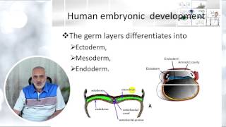 Elbromboly Basic ophthalmology IC Embryology [upl. by Noral]