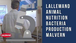 Lallemand Animal Nutrition Bacteria Production Malvern [upl. by Enimsay]