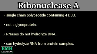 RNAse A  Ribonuclease A  Ribonuclease A Catalysis [upl. by Sanborne631]