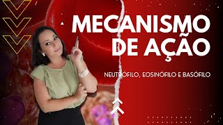 Leucócitos  mecanismo de ação do Neutrófilo Eosinófilo e Basófilo leucocito sangue biomedicina [upl. by Bellaude]