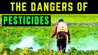 The Dangers of Pesticides Protecting Yourself and the Environment [upl. by Lothair]