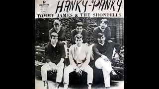 HANKY PANKY TOMMY JAMES amp THE SHONDELLS 2023 MIX [upl. by Ennaesor]