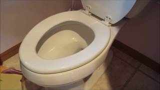 DIY 101 How To Remove amp Replace a Toilet Seat [upl. by Marja]