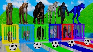 Max Level Long Legs Tiger Gorilla Zebra Dinosaur Fountain Crossing Transformation Cartoon Game [upl. by Nivets265]