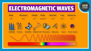 Electromagnetic Waves  Physics [upl. by Heater]