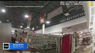 WATCH Deer destroys Maine store after getting stuck inside [upl. by Nikolas535]