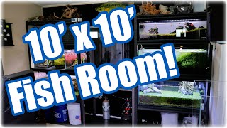 How I Built a Home Fish Room 10 x 10 Office Conversion [upl. by Annauj]