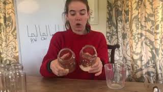 Solubility KS3  Home experiment part 4 [upl. by Norm]