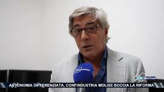 Autonomia differenziata Confindustria Molise boccia la riforma [upl. by Conias]