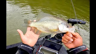 Wabigoon Lake Fall Crappie [upl. by Aron]