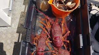 Diving for Crayfish and Abalone Portland Victoria [upl. by Horlacher]